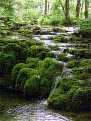 Plitvice Nationalpark